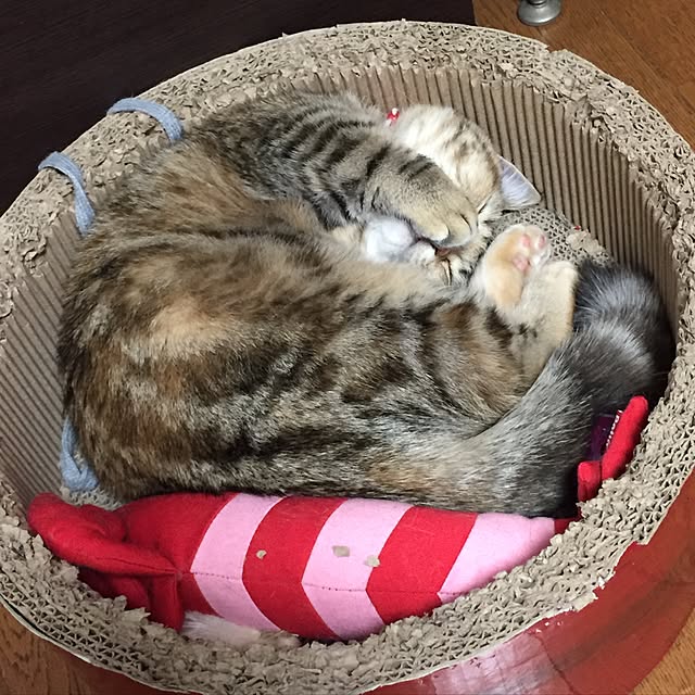keibooさんの実例写真