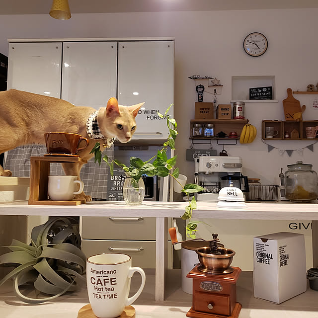 megu.catさんの実例写真