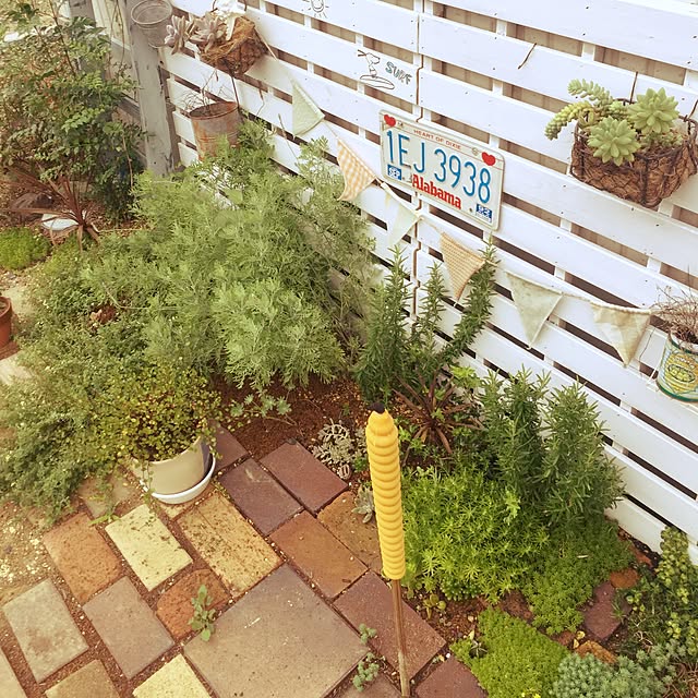 Hitomiさんの実例写真