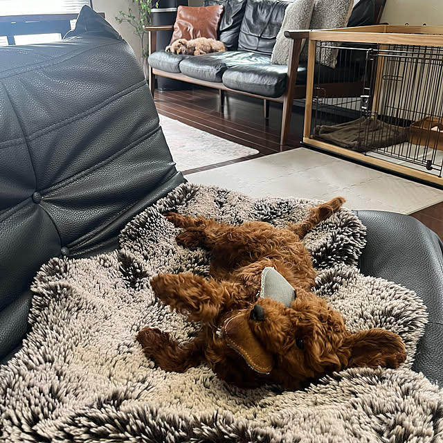 yukimonoさんの部屋