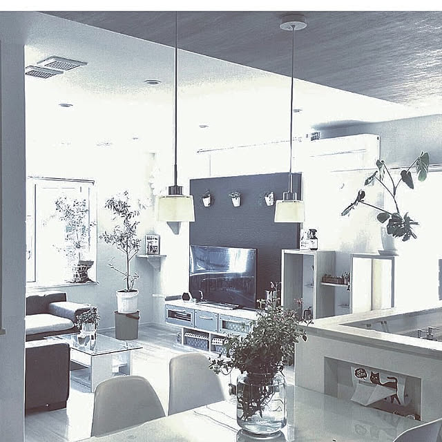 megu.catさんの実例写真