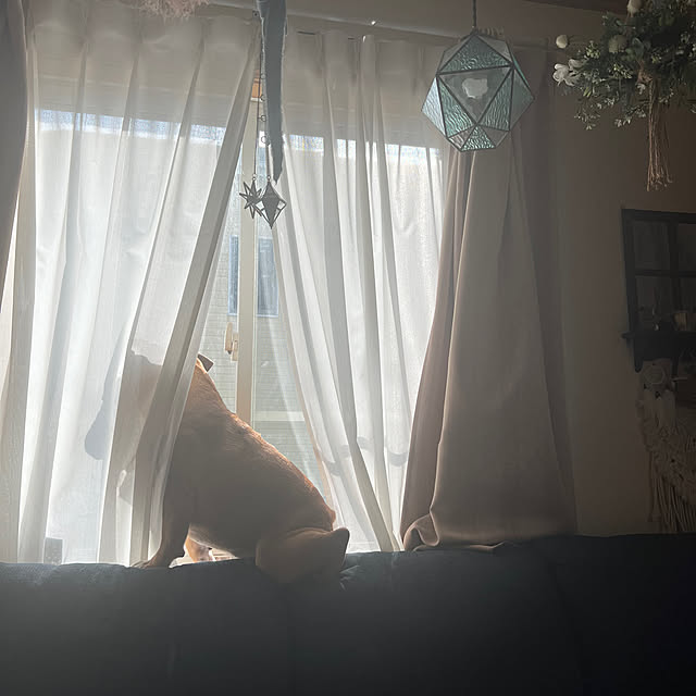 chi_gogaさんの部屋