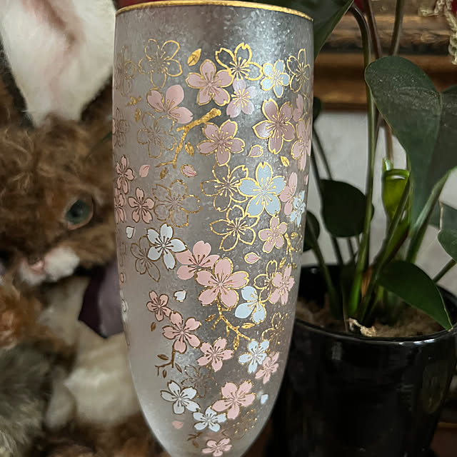AYUKOさんの部屋