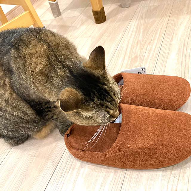 kirinsanさんの部屋