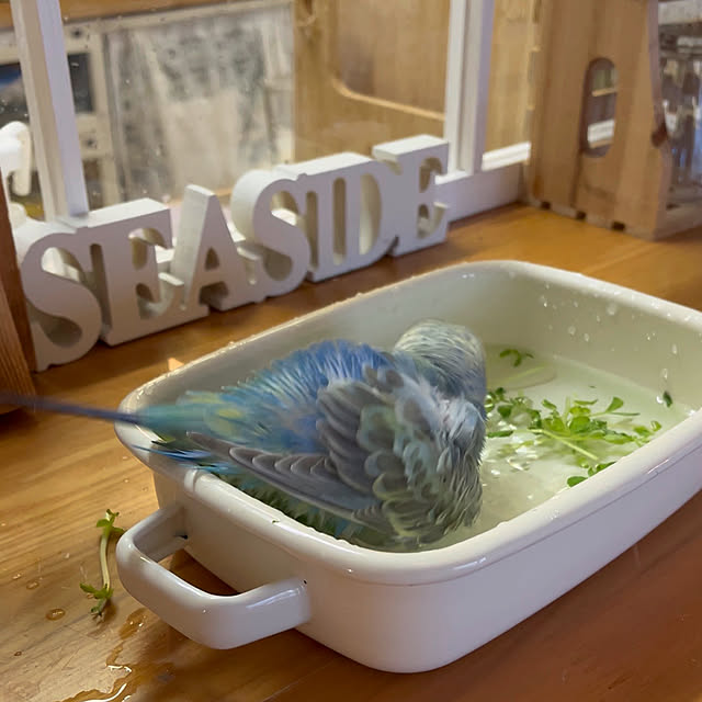 Atsukoさんの部屋
