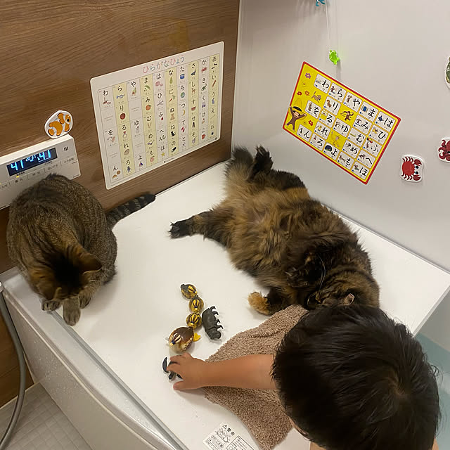 mikomaruさんの実例写真