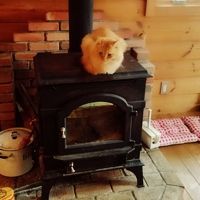 Maki-nekomamireさんの実例写真