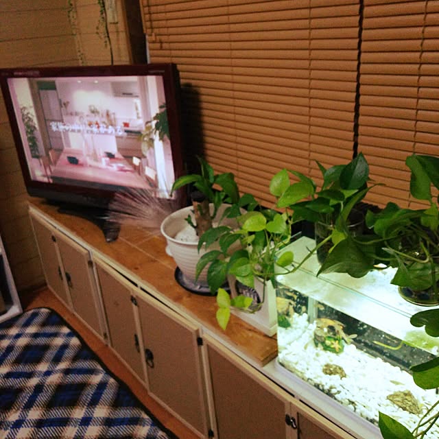 R.R-Tさんの実例写真