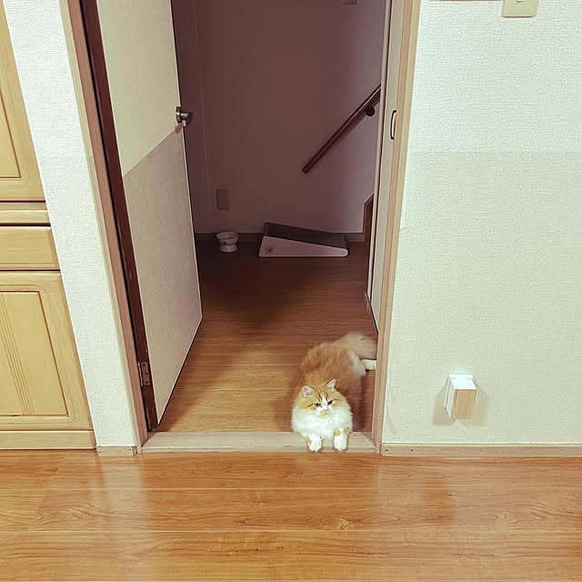 junさんの部屋