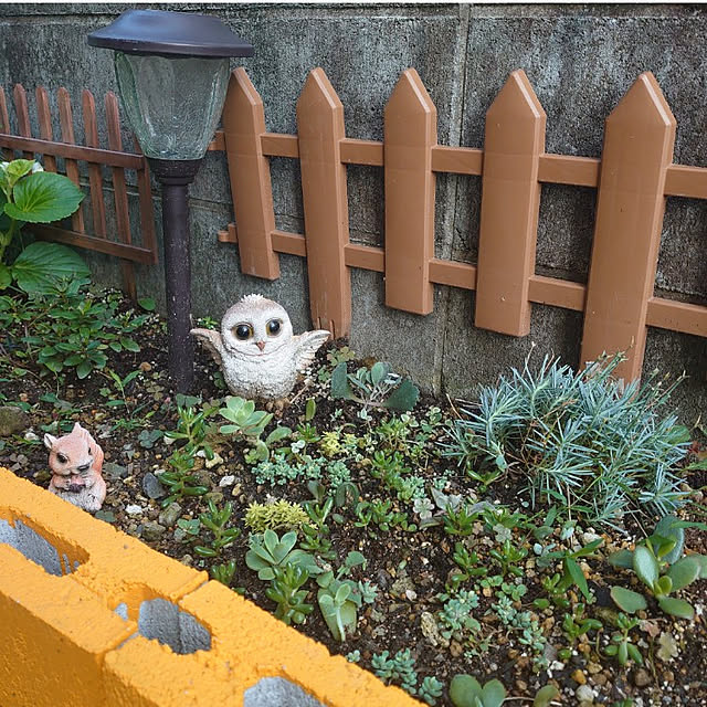 fukuさんの実例写真