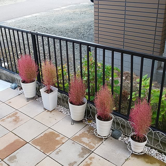 yumiyumiさんの実例写真
