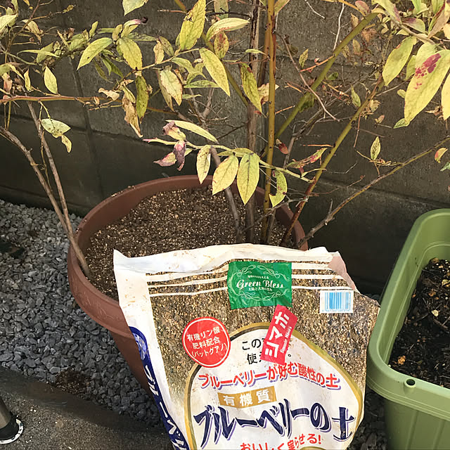 EMIKOさんの実例写真