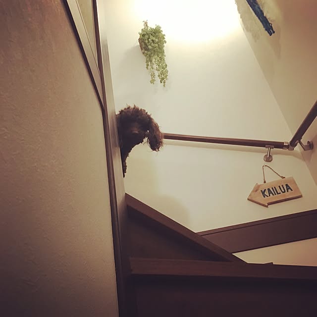 Masakoさんの実例写真