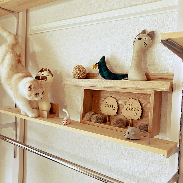 H.Tさんの実例写真