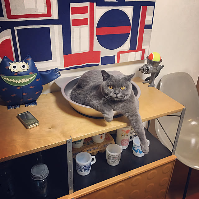 Shojiさんの実例写真