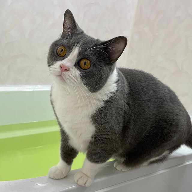 minaさんの実例写真