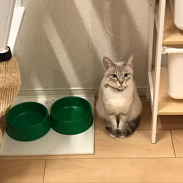 K.Chiakiさんの実例写真