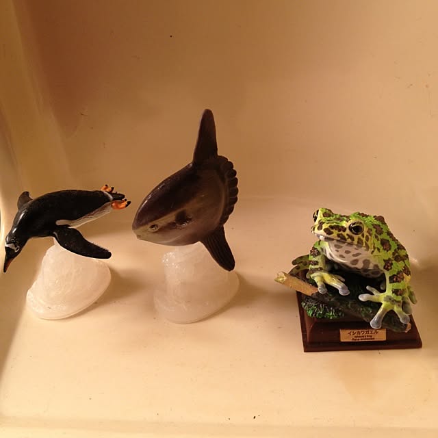 Tatsunosukeさんの実例写真