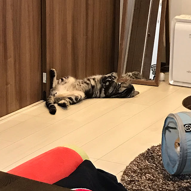 KotarouKunさんの実例写真