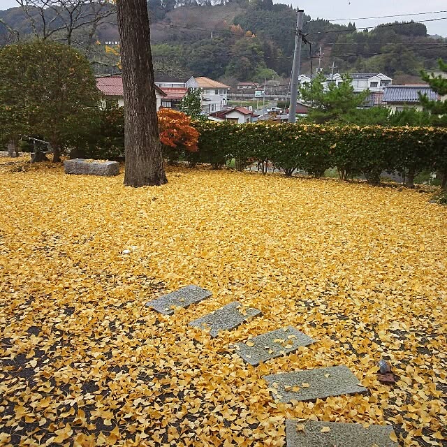 shinobo82さんの実例写真