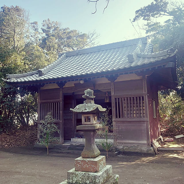 実例写真