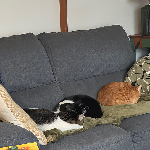 okyosan101さんの部屋