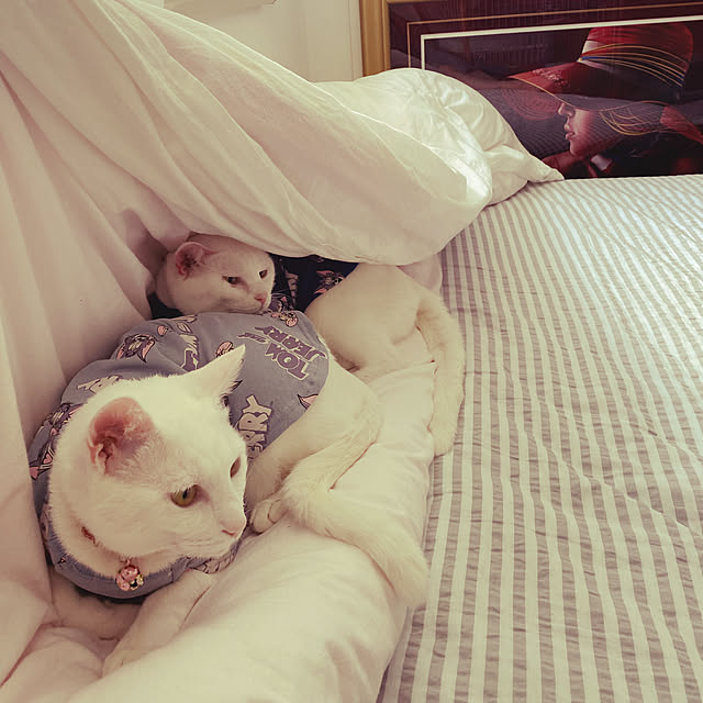 hanaさんの実例写真