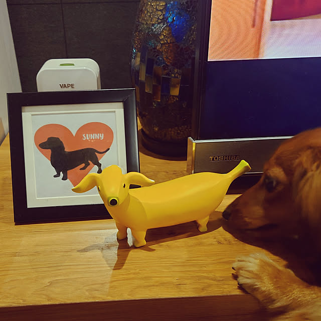 ponchanさんの実例写真