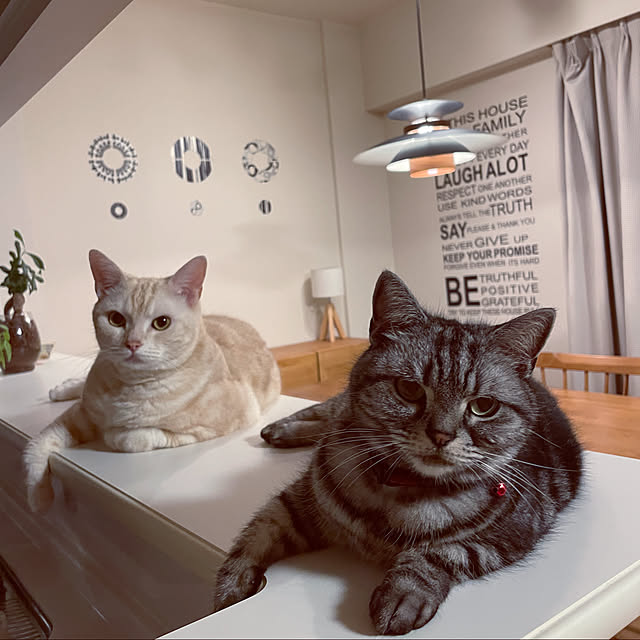 hiyupan88さんの実例写真