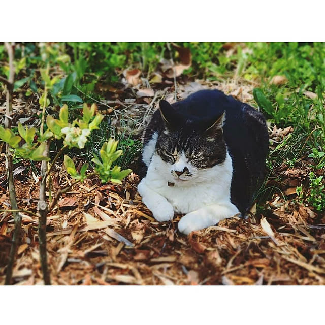 yukiさんの実例写真