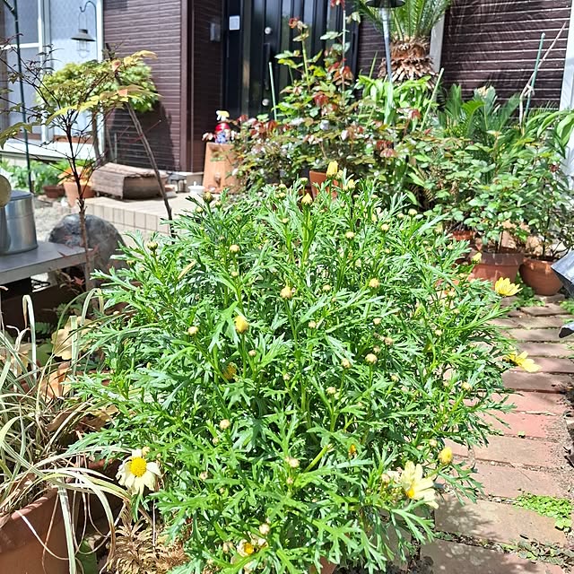 midoriさんの部屋