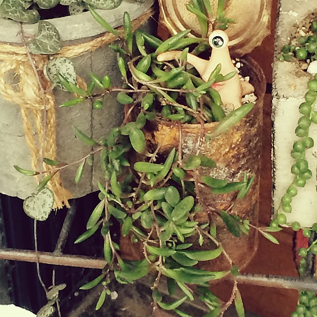 aamoさんの実例写真