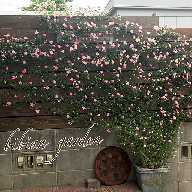 bibianさんの実例写真