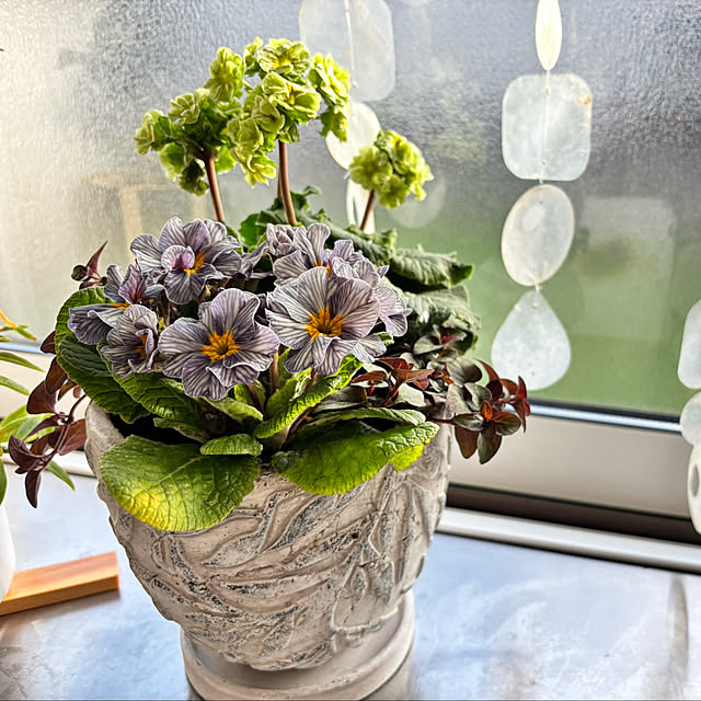 kyoko1124koさんの部屋