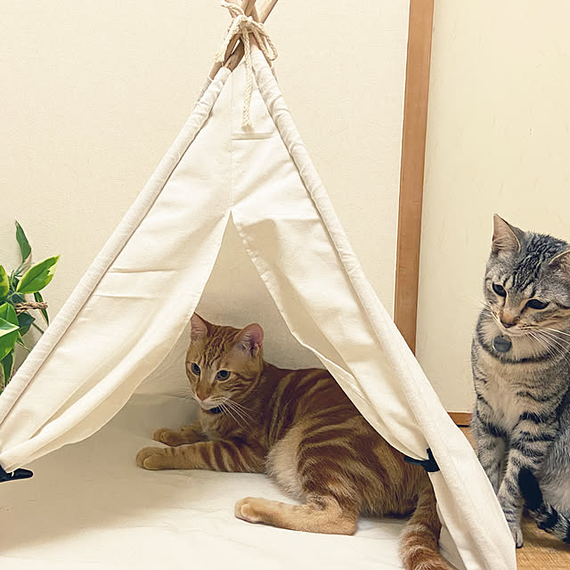 gachaさんの部屋