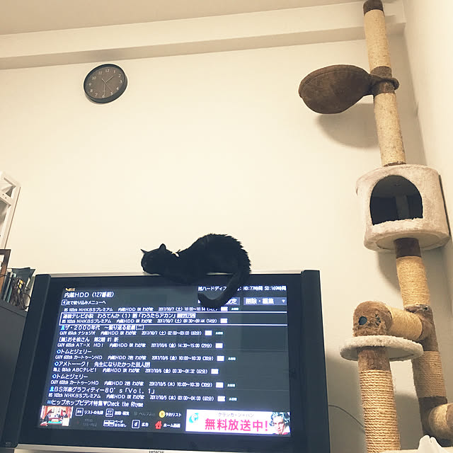 nyam0v0さんの実例写真