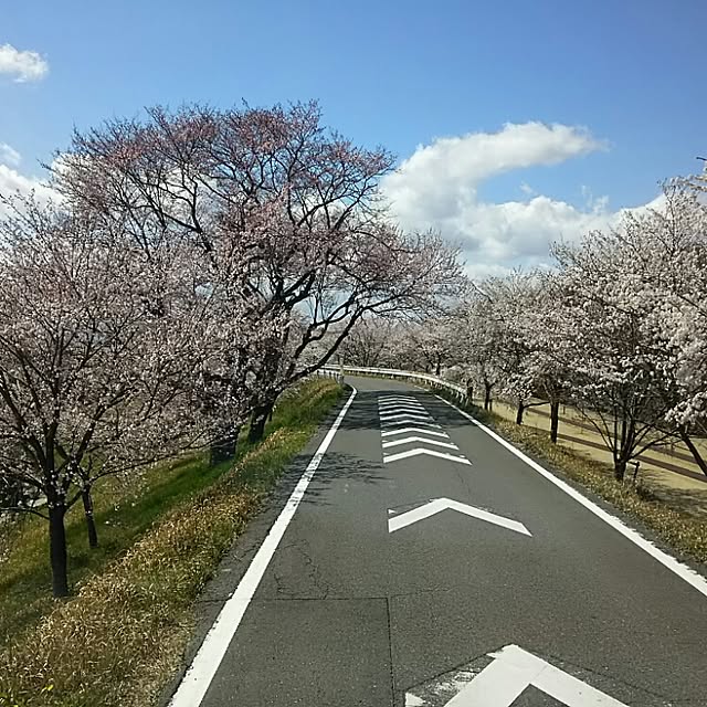 AandPさんの実例写真
