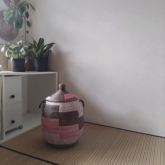 miwaさんの実例写真