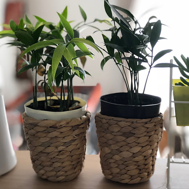 kumahomeさんの実例写真