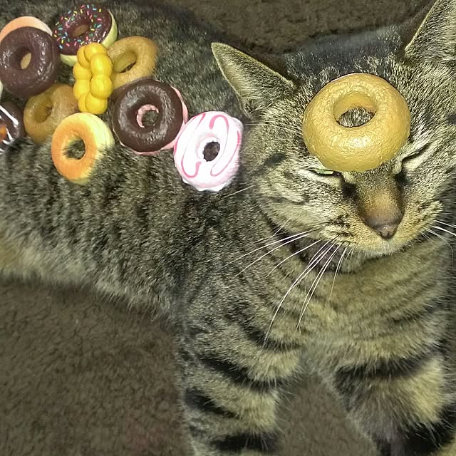 hina0131811さんの実例写真