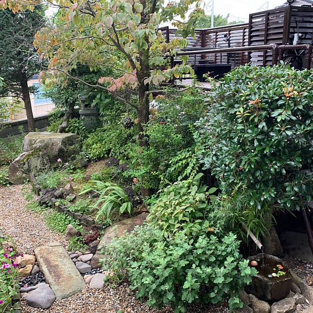 hikoさんの部屋