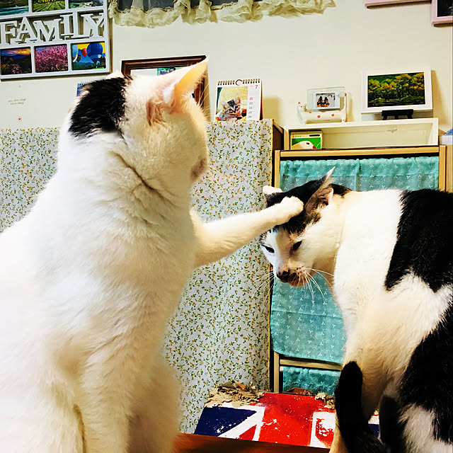 pcu110さんの実例写真