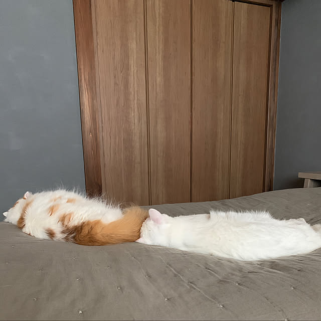 keiさんの実例写真
