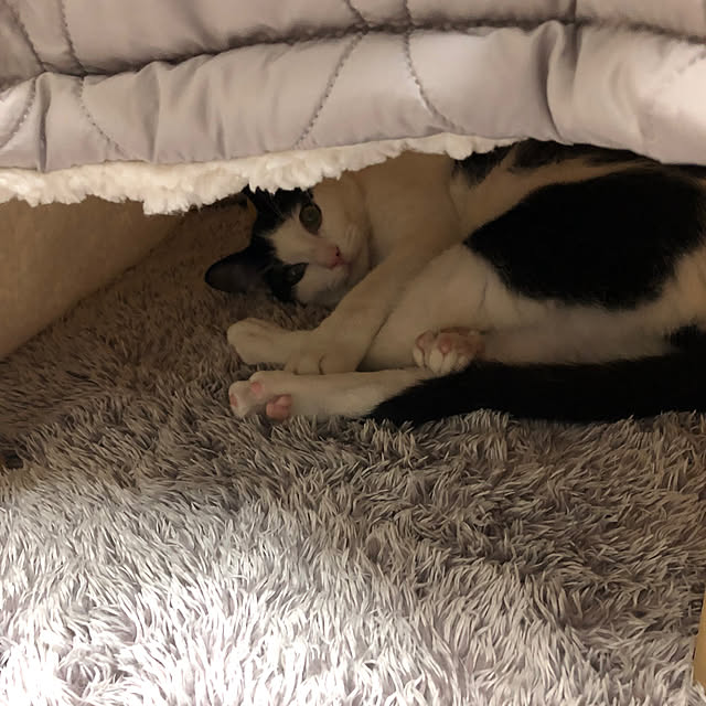 yutiさんの部屋