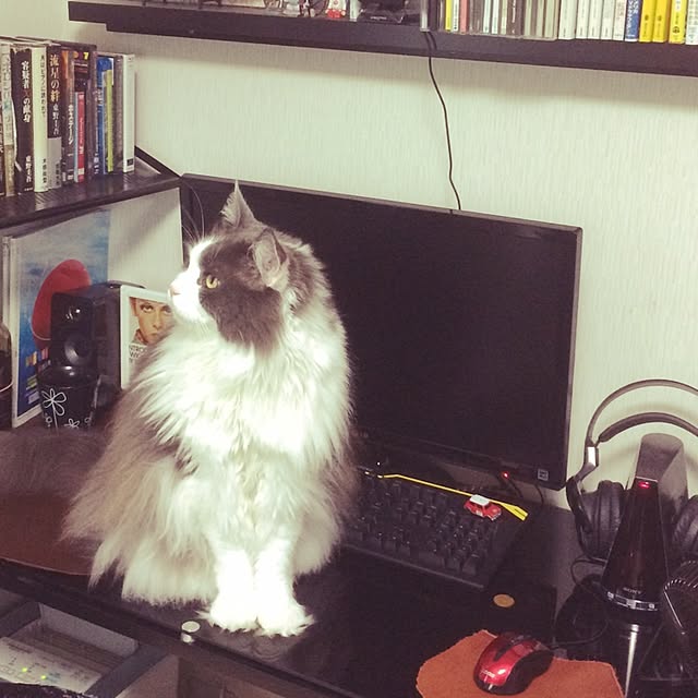 yucky_rioさんの実例写真