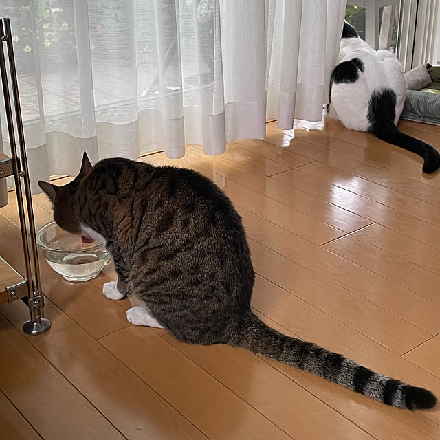 nobikoさんの部屋