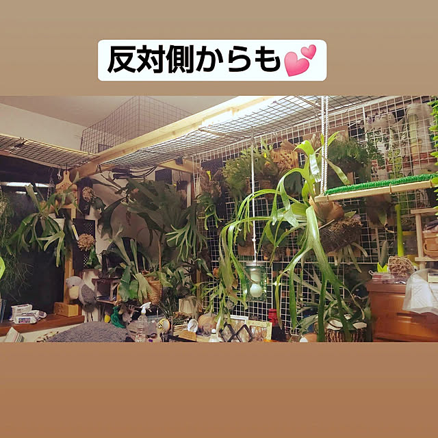 mikiさんの実例写真