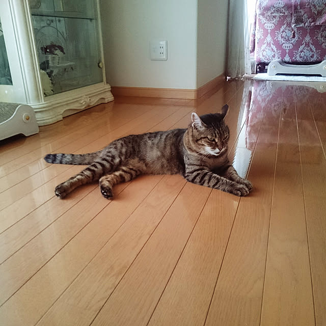 lilyさんの実例写真