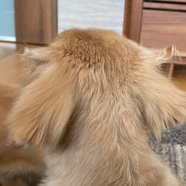 ponponcooさんの部屋