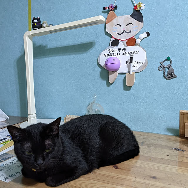 jacky-m-さんの実例写真